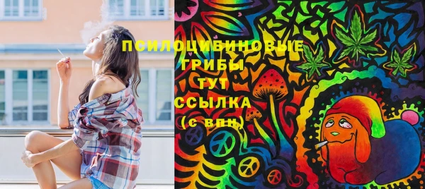 спиды Лагань