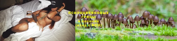 спиды Лагань