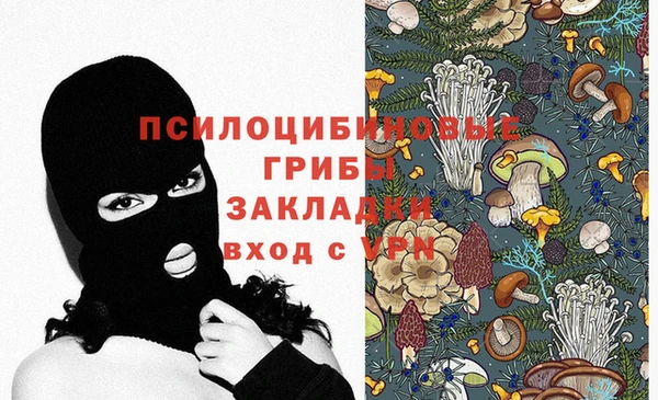 спиды Лагань