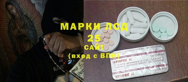спиды Лагань