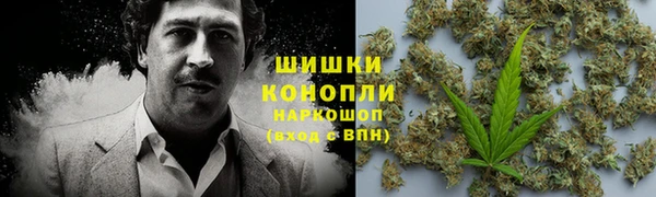 спиды Лагань