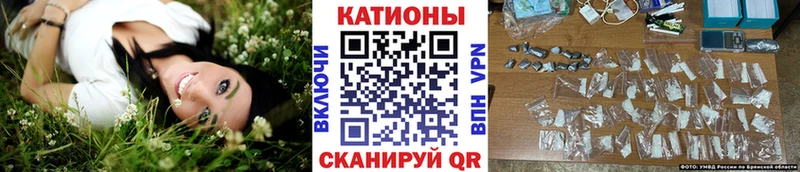 МЯУ-МЯУ мяу мяу  Кочубеевское 